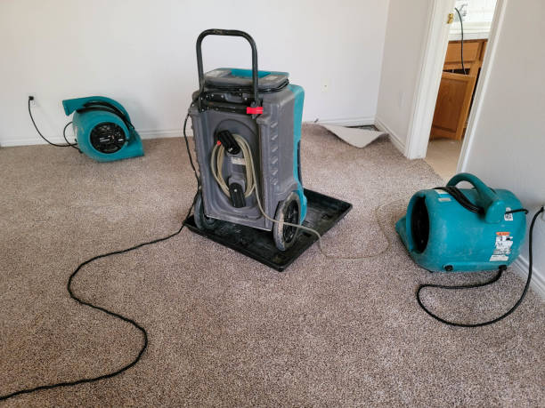 Best Residential water damage restoration  in Pendleton, IN