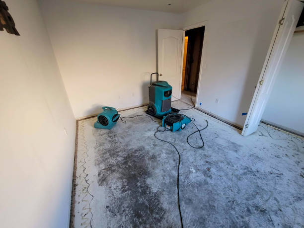 Best Emergency water damage restoration  in Pendleton, IN