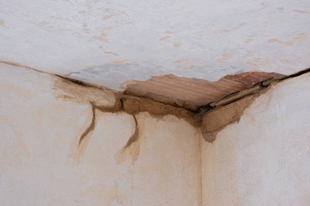 Best Emergency water damage restoration  in Pendleton, IN