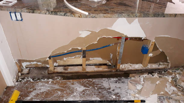 Best Flooded house restoration  in Pendleton, IN