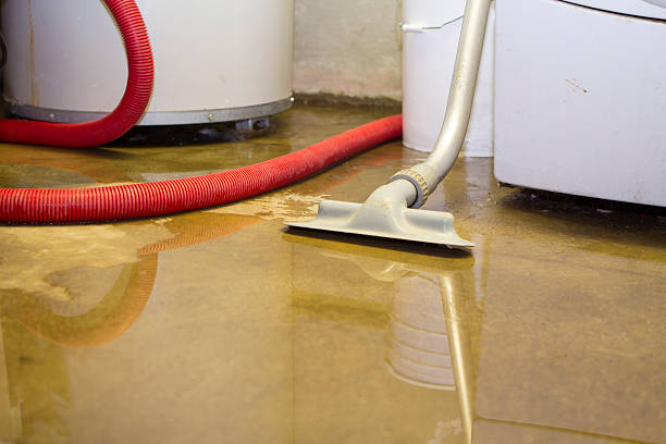 Best Water damage restoration near me  in Pendleton, IN