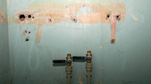  Pendleton, IN Water damage restoration Pros