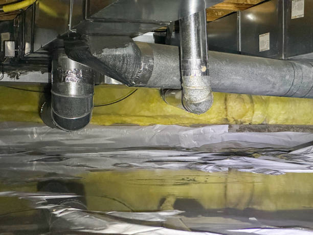 Best Carpet water damage restoration  in Pendleton, IN