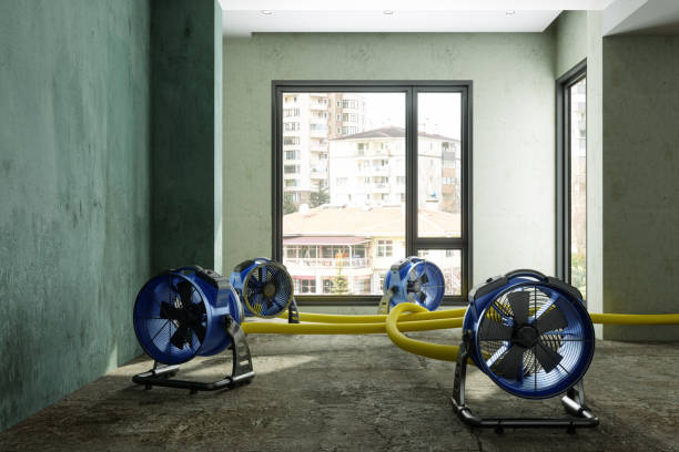 Best Flood restoration services  in Pendleton, IN